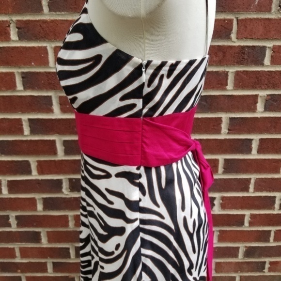 New Ann Taylor Zebra Print w/‎ hot pink sash Dress - Picture 4 of 4